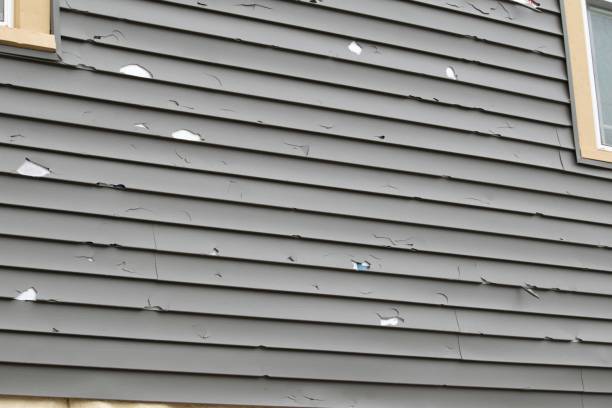 Best Vinyl Siding Installation  in USA